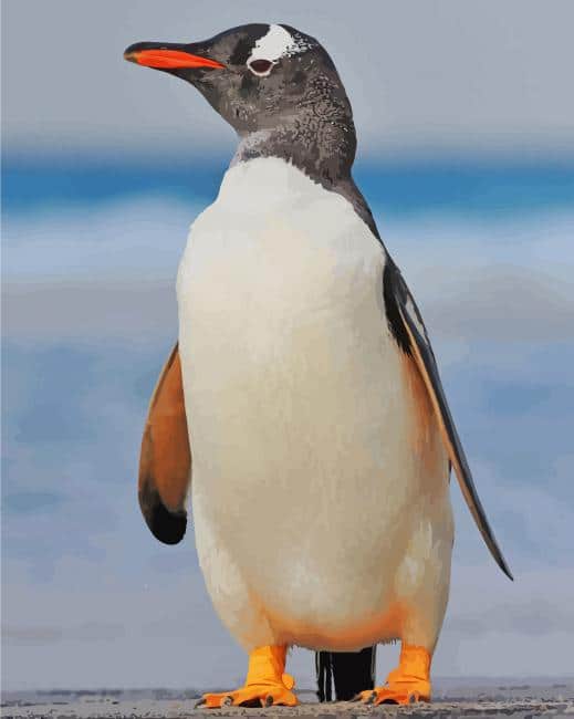 Gentoo Penguin paint by number