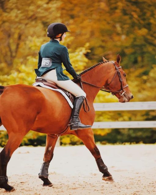 Girl Riding Horse Paint By Numbers