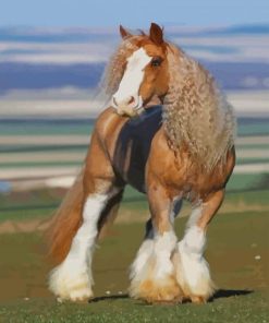 Golden Clydesdale Horse paint by numbers