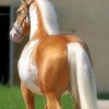 Golden Horse paint by numbers