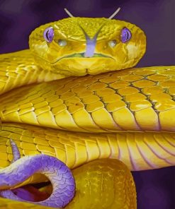 Golden Snake paint by numbers