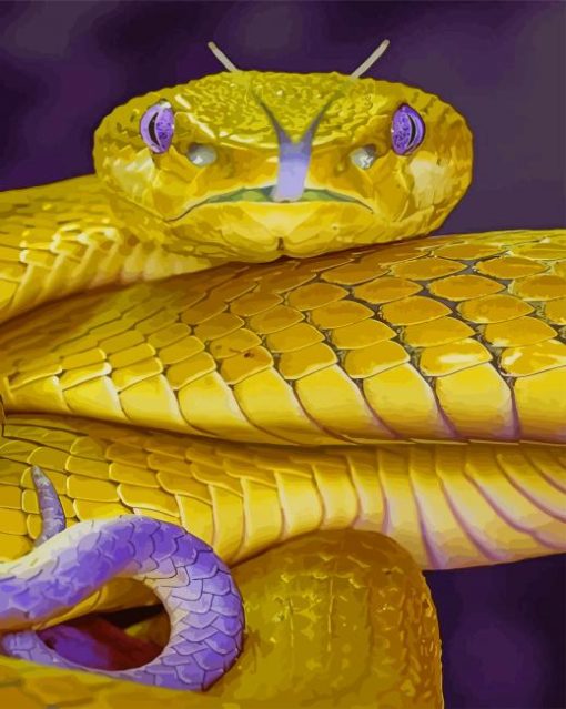 Golden Snake paint by numbers