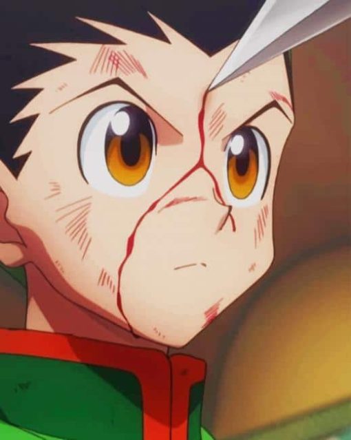 Gon Freecss Hunter X Hunterpaint by numbers
