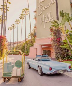 Gray Malin Beverly Hills Hotel paint by numbers