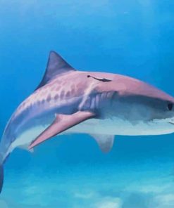 Great Barrier Reef Sharks paint by numbers