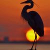 Great Blue Heron Sunrise paint by numbers