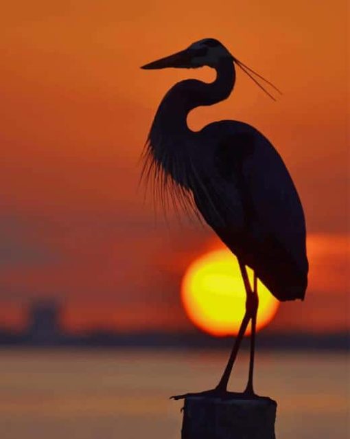 Great Blue Heron Sunrise paint by numbers