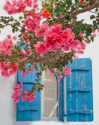 Greece Pink Flowers paint by numbers