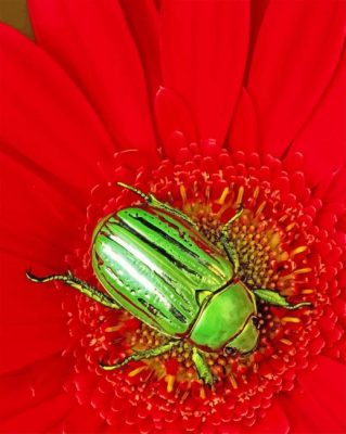 Green Beetle Red Flower paint by numbers