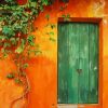 green door paint by numbers