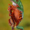 Green Frog With Orange And Black Stripes paint by numbers