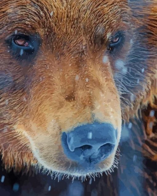Grizzly Bear paint by numbers