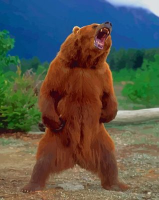 Grizzly Bear Standing paint by numbers