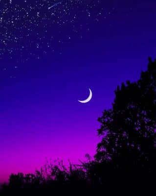 half moon starry night paint by numbers