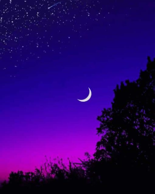 half moon starry night paint by numbers