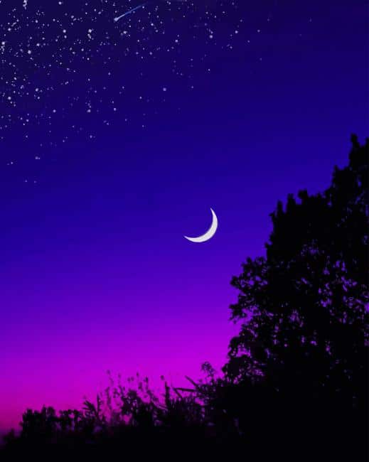 half moon starry night paint by numbers