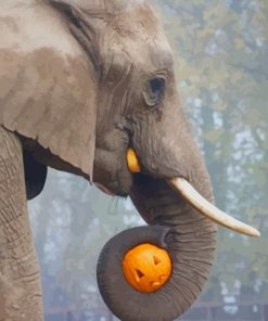 Halloween Elephant paint by numbers