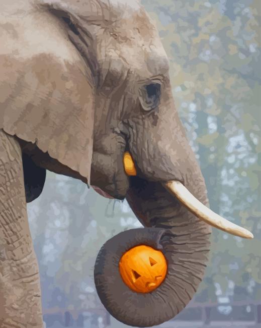 Halloween Elephant paint by numbers
