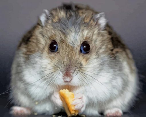 Hamster Eating Food paint by numbers