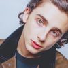 Handsome Timothée Chalamet paint By Numbers