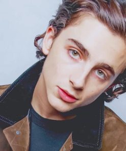 Handsome Timothée Chalamet paint By Numbers