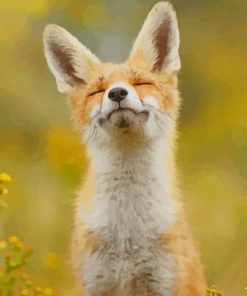 Happy Fox paint by numbers