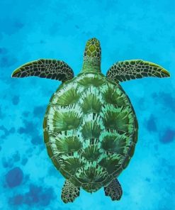 Hawksbill Sea Turtle paint by numbers