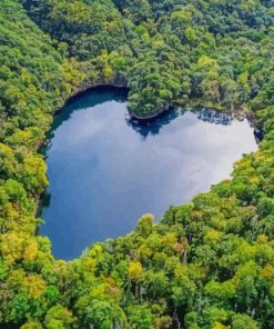 Heart Shaped River in Japan paint by numbers