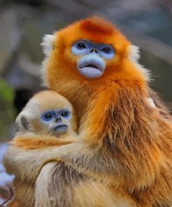 himalayan snub nosed monkey paint by numbers