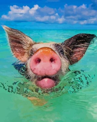 Hog Swimming paint by numbers