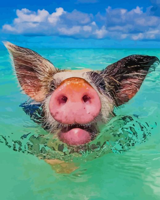Hog Swimming paint by numbers