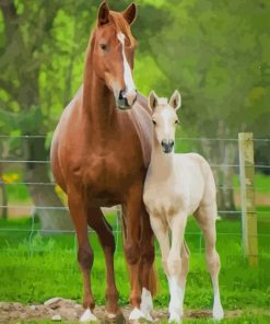 Horse Mare and Foal paint by numbers