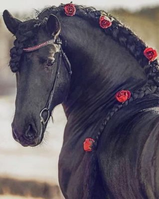 Horse With Braided Mane Paint By Numbers