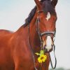 Horse With Sunflowers paint by numbers