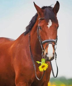 Horse With Sunflowers paint by numbers