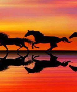 Horses Galloping In The Sunset paint by numbers