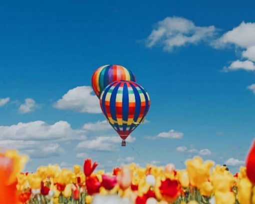 Hot Air Balloons Tulip Flowers paint by number