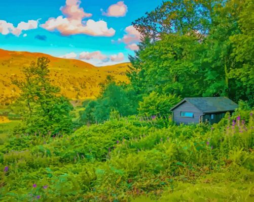 House In Green Nature paint by number