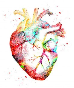 human heart art paint by numbers