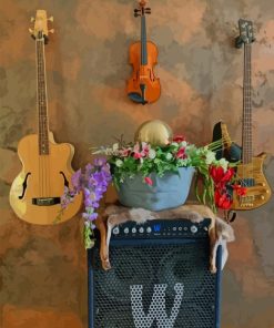 Music Instruments Hanged On The Wall paint by numbers