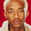 Jaden Smith With Blonde Hair paint by numbers