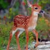 key deer paint by numbers