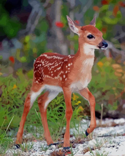 key deer paint by numbers