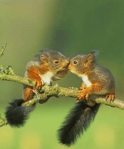 kissing Squirrels paint by numbers