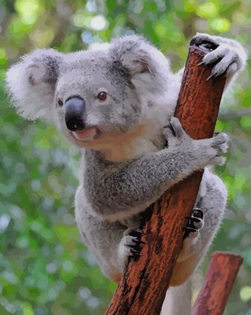Koala Bear paint by numbers