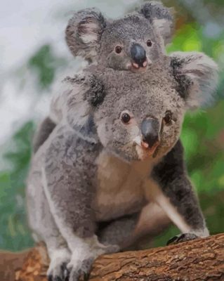 Koala In Mother_s Pouch paint by numbers