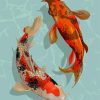 Koi Fish paint by numbers