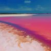 Lake Hillier Pink Beach Australia paint by numbers