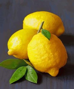 Lemon Fruit paint by numbers