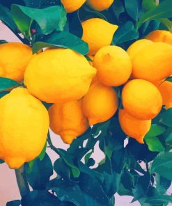 lemon tree paint by number